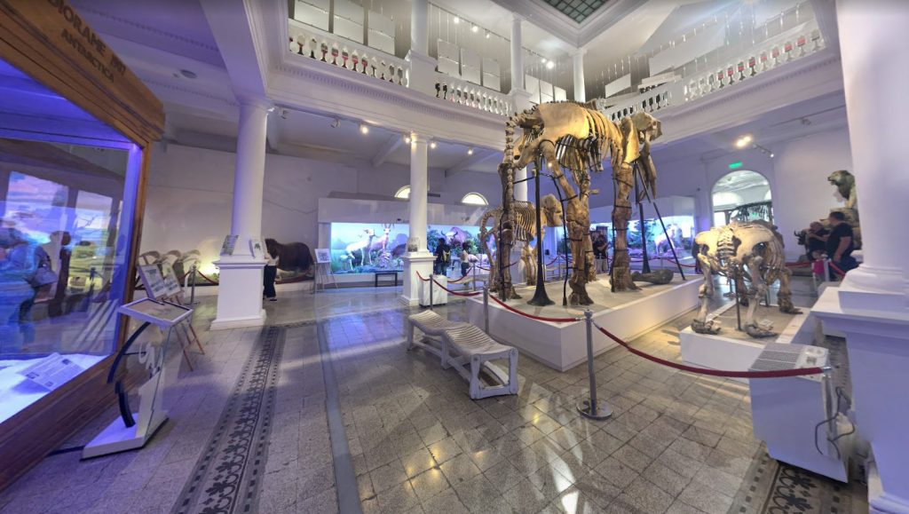 Museo Nacional de Historia Natural Bucarest