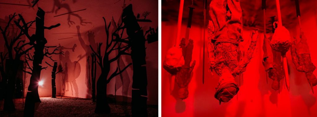 The Dracula Investigation Museo