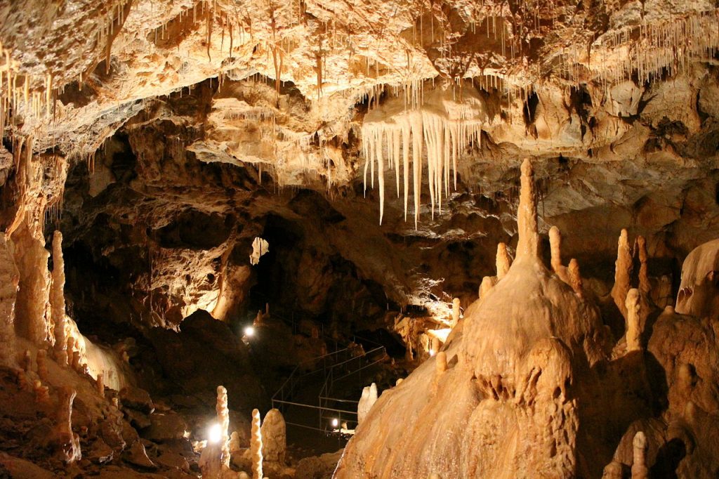 Cueva de osos Rumanía