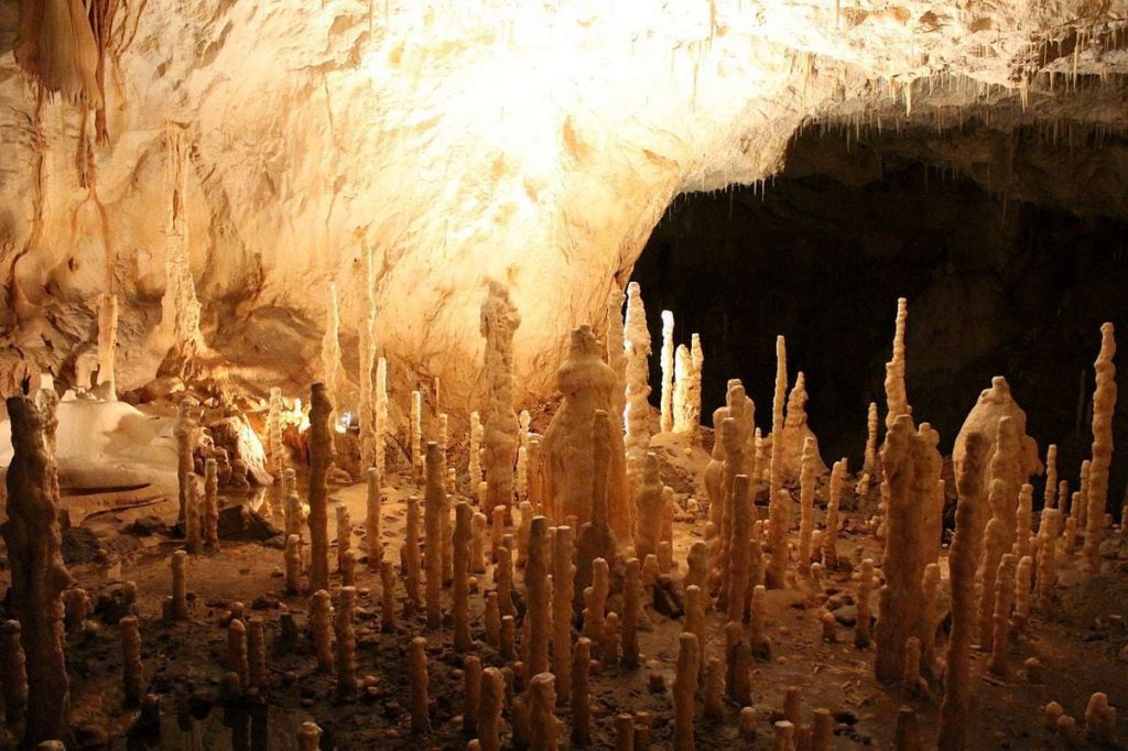 Visita la Cueva de los Osos en Chistau